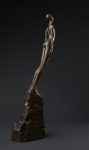 Swimmer