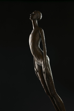 Swimmer