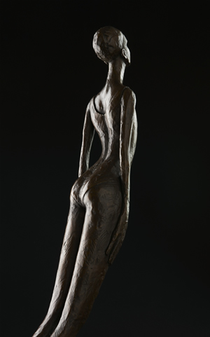 Swimmer