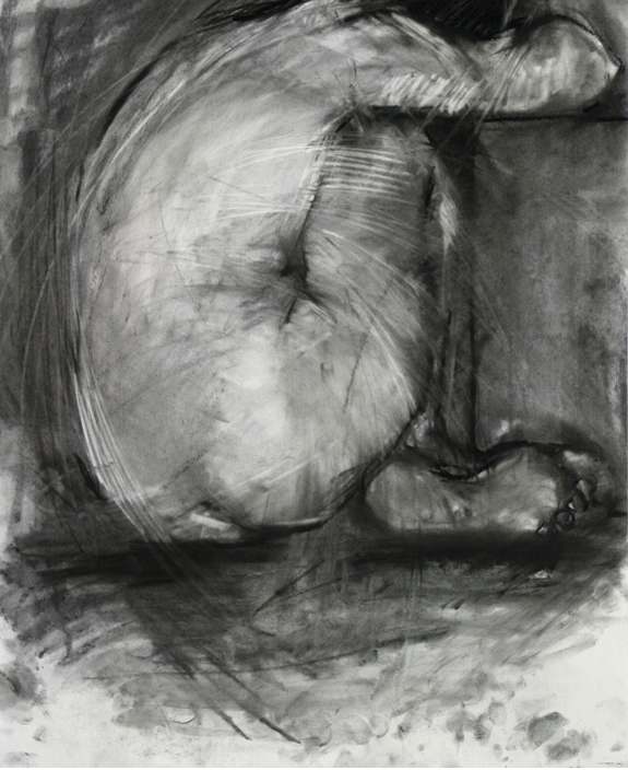 Drawing by Carol Peace